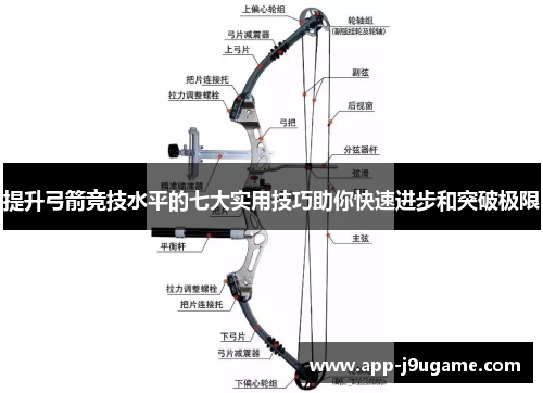 提升弓箭竞技水平的七大实用技巧助你快速进步和突破极限