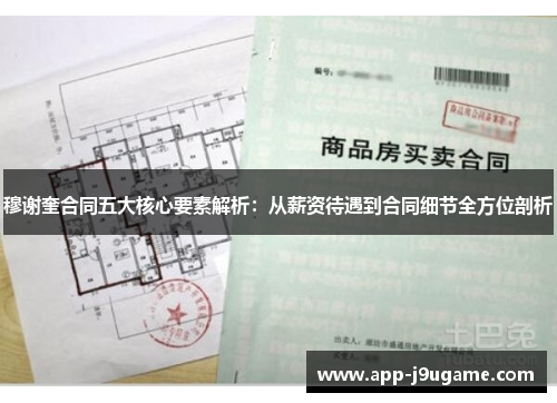 穆谢奎合同五大核心要素解析：从薪资待遇到合同细节全方位剖析